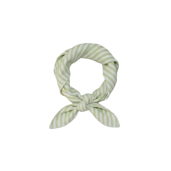 Scarf Stripes Green