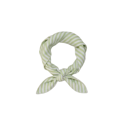 Scarf Stripes Green