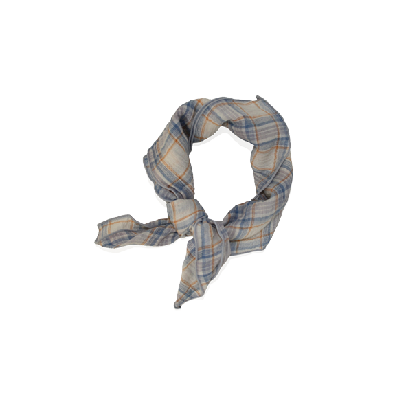 Scarf Check Blue