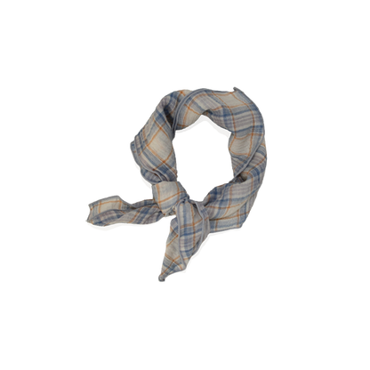 Scarf Check Blue