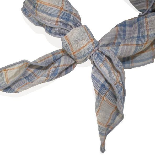 Scarf Check Blue