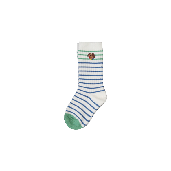 Striped Socks Dog Blue/Green