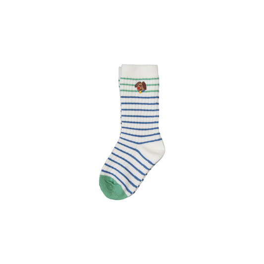 Striped Socks Dog Blue/Green