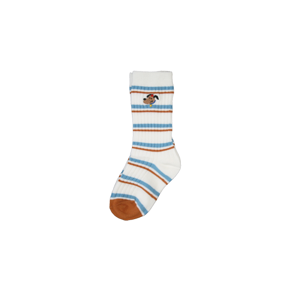 Striped Socks Dog Blue/Brown