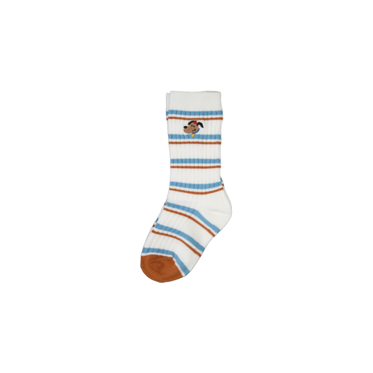 Striped Socks Dog Blue/Brown