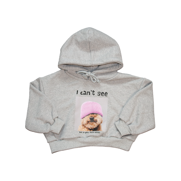 Hoodie Poodle