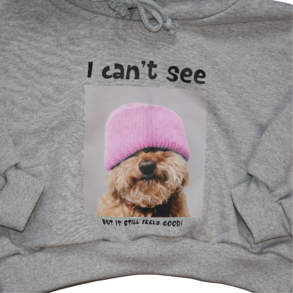 Hoodie Poodle