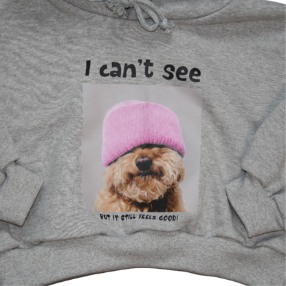 Hoodie Poodle