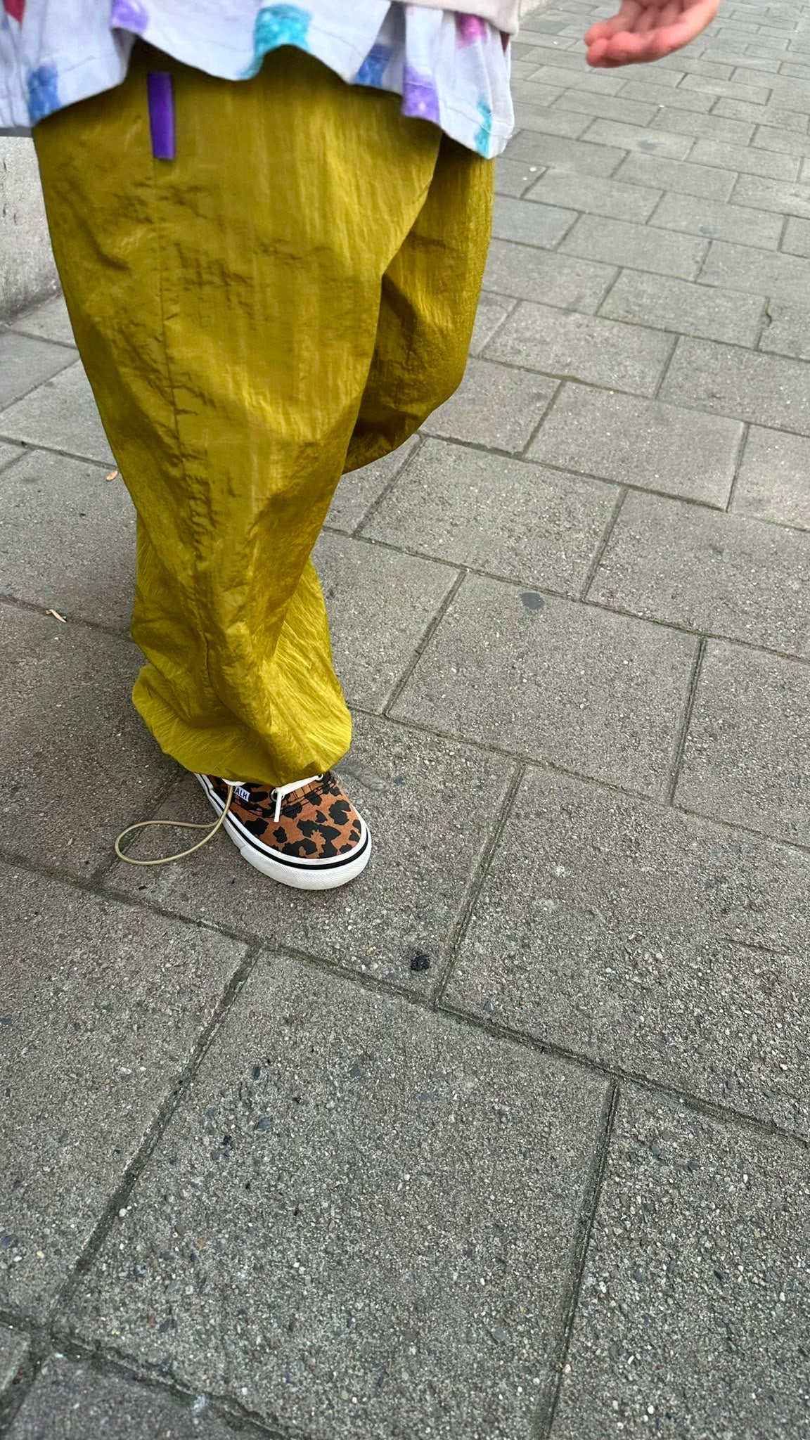 Leopard Sneakers