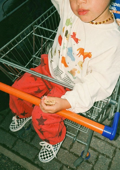 Longsleeve Horses