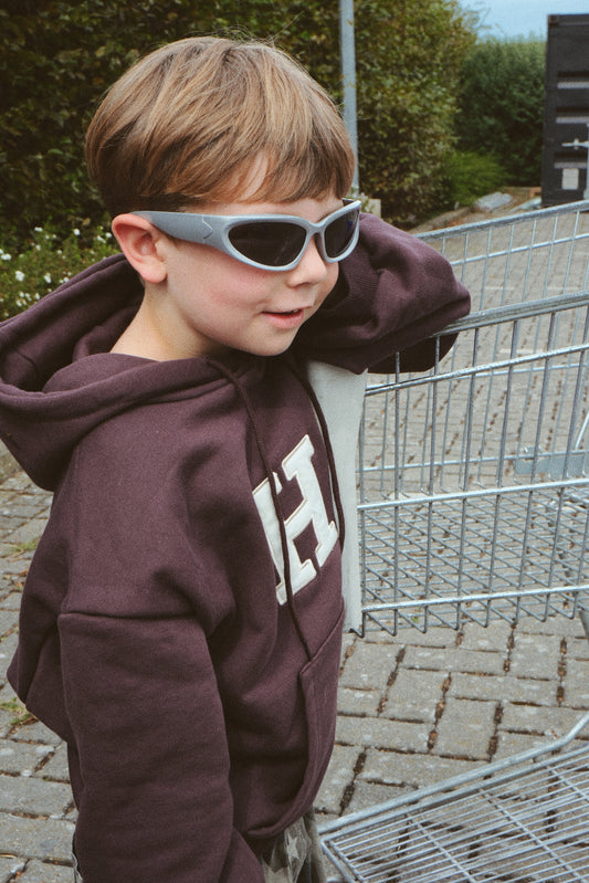 Sunglasses Silver
